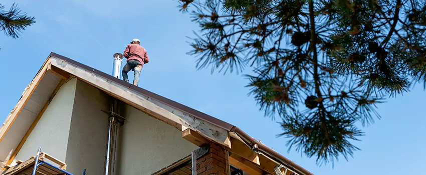 Birds Removal Contractors from Chimney in Fairview Heights, IL