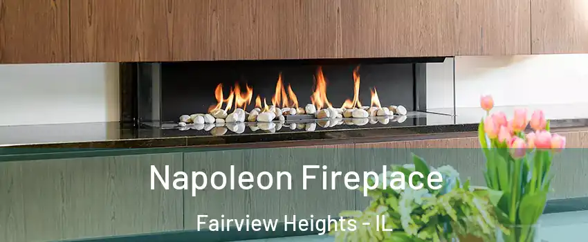  Napoleon Fireplace Fairview Heights - IL